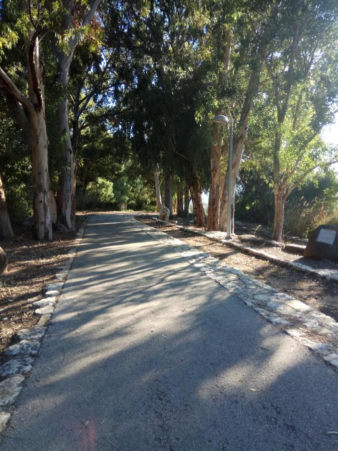 אצלנו - בגליל העליון Apartment Kiryat Shmona Bagian luar foto